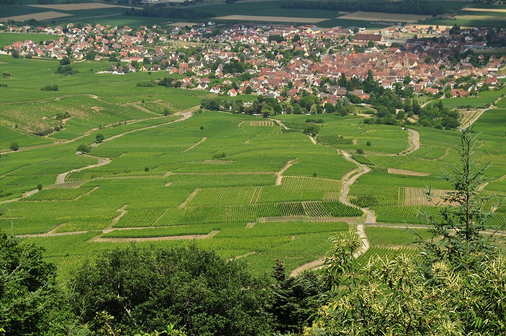 pohled na Eguisheim od Trois Chateaux, Alsasko 