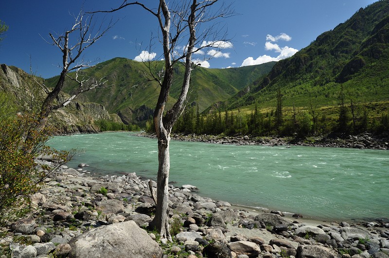 Altaj 2009 - řeka Katuň nad vesnicí Inegen 