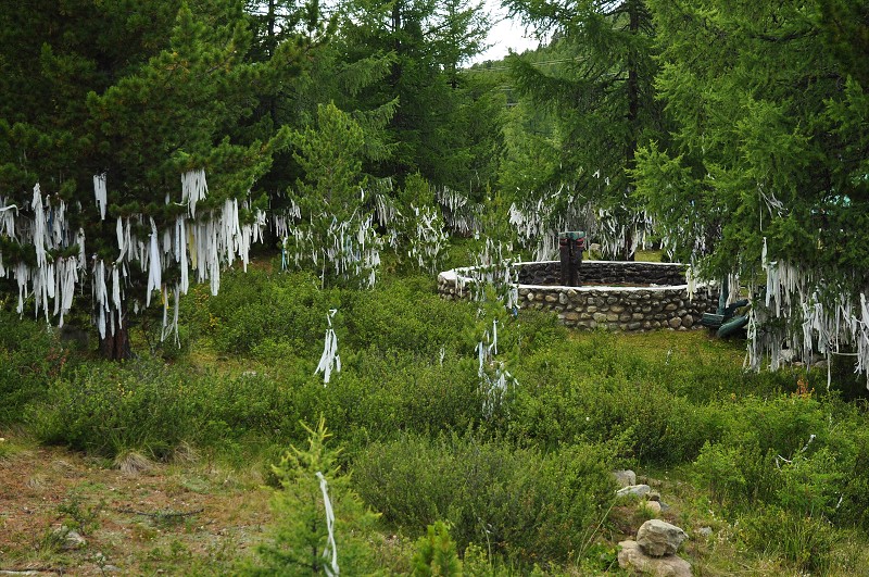 Altaj 2009 - Ulaganské sedlo, 2080 m 