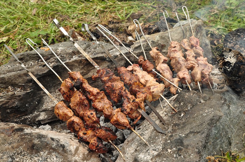 Altaj 2009 - jelení šašlik v tajze za Ulaganem 