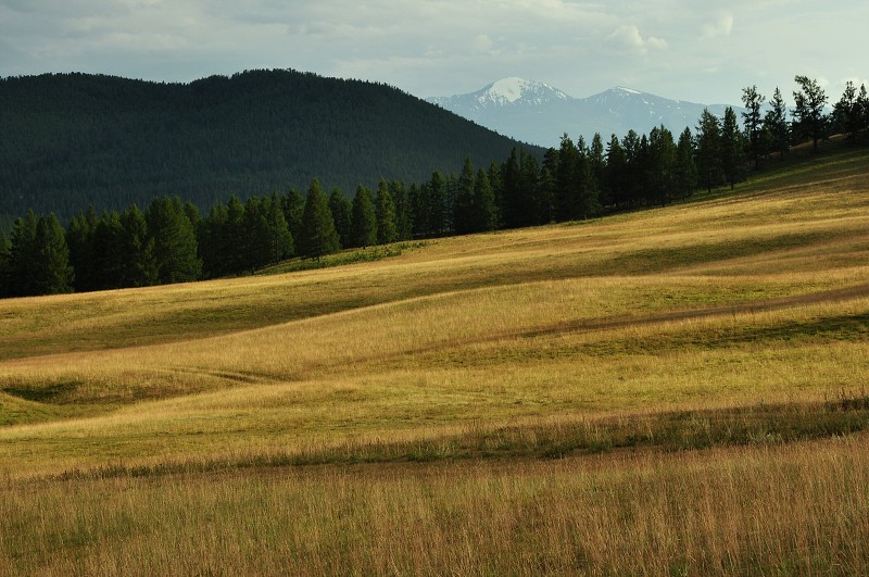 Altaj 2009 - krajina kolem Pazyrkských kurganů 
