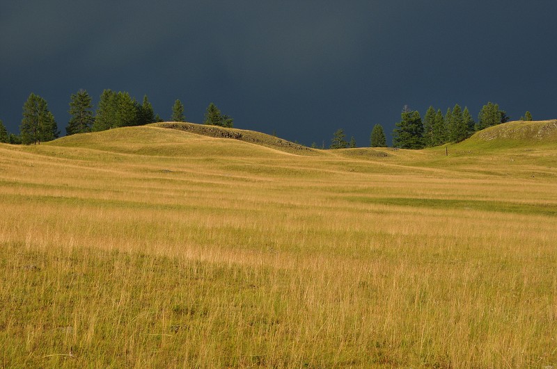 Altaj 2009 - krajina kolem Pazyrkských kurganů 