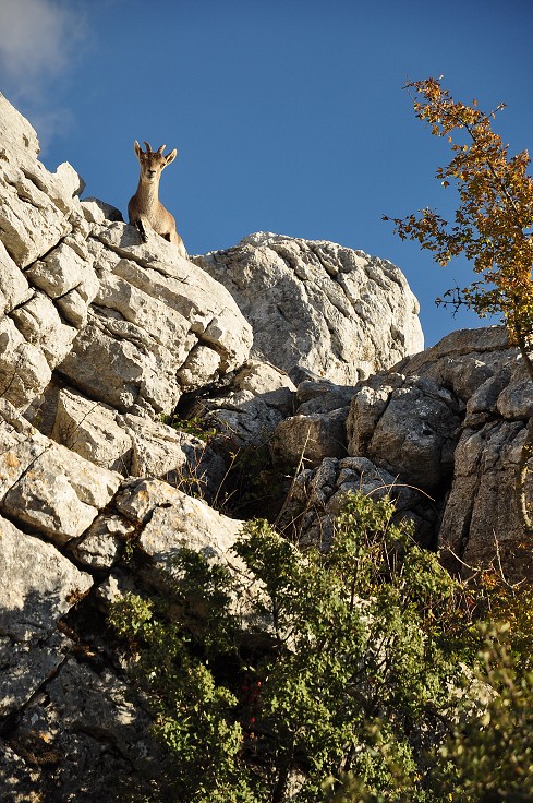 Andalusie - rez. El Torcal de Antequerra, sev. od Malagy 