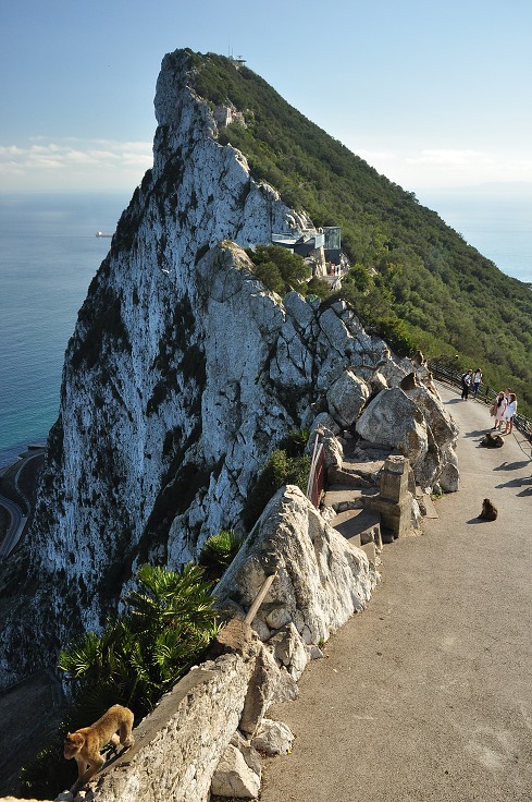 Andalusie - na hřebeni Upper Rock, Gibraltar 