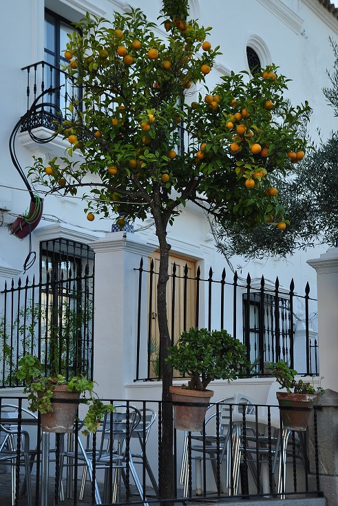 Andalusie - horská ves Zahara, u Algodonales 