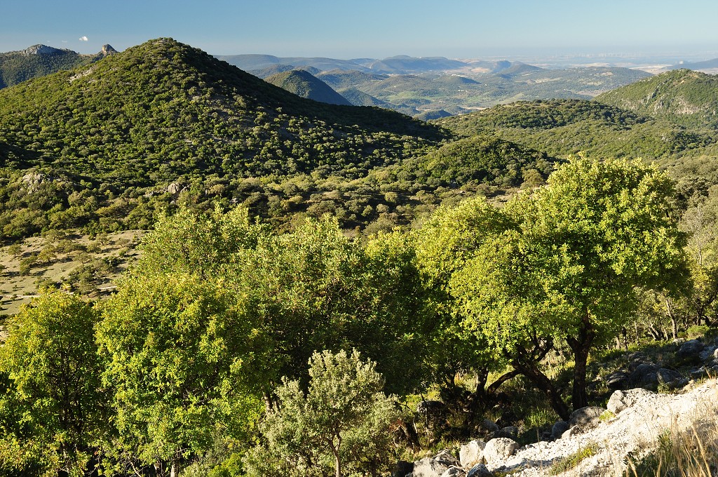 Andalusie - krajina mezi El Bosque a Grazalemou 