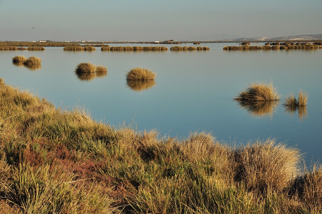 Andalusie - plameňáci, přírodní park Doňana 