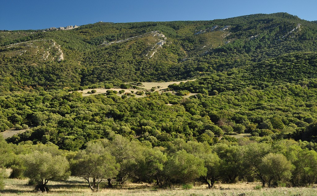Andalusie -  přír. park Los Alcornocales 