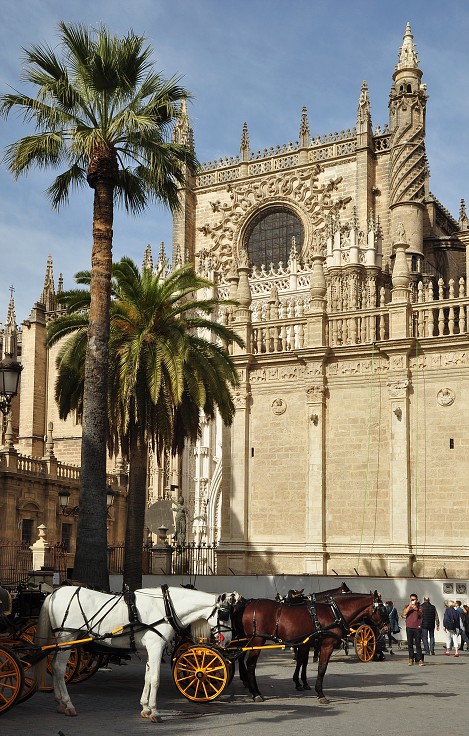Andalusie - katedrála, Sevilla 