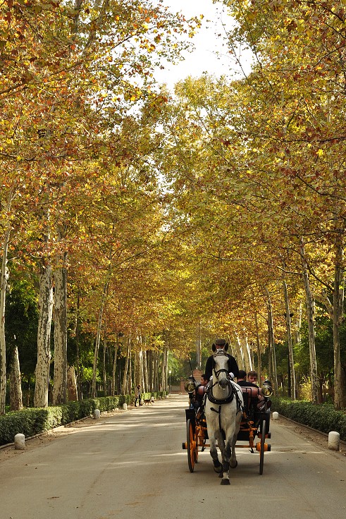 Andalusie - park Marie Luisy, Sevilla 