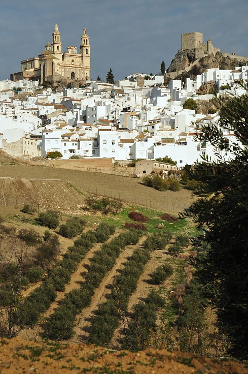 Andalusie - Olvera 