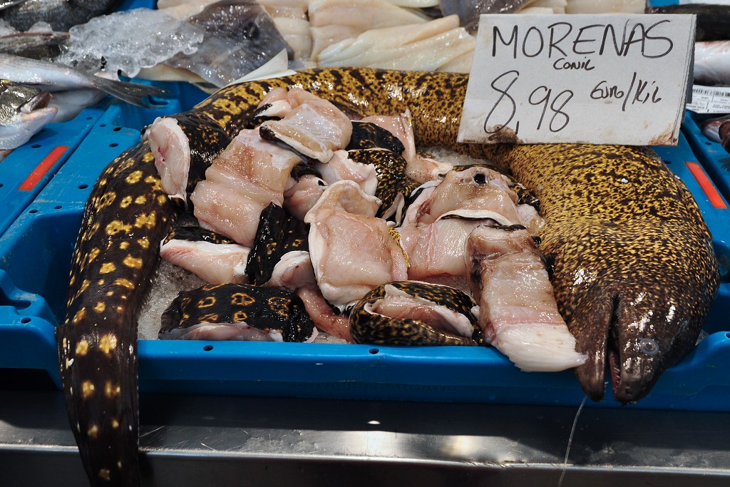 Andalusie - rybí tržnice, Cádiz 
