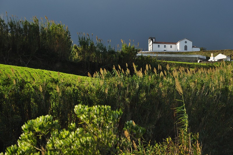 Azory 2013 - Femédios 