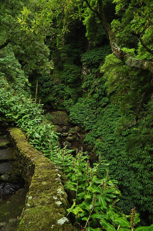 Azory 2013 - přírod. park Ribeira dos Caldeiroes 
