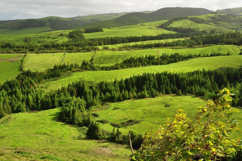 Azory 2013 - vysočina severně od Lagoa das Furnas 
