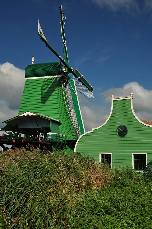 Benelux - mlýny Zaanse Schans, Zaandam 