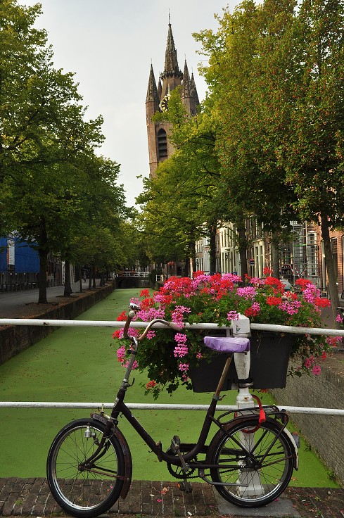 Benelux - Delft 