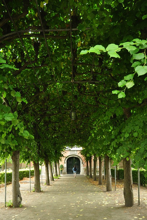 Benelux - Willemstad, NL 