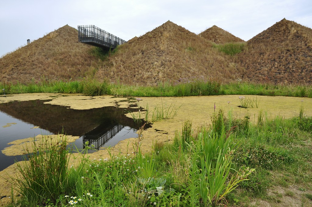 Benelux - Národní park De Biesbosch, NL 