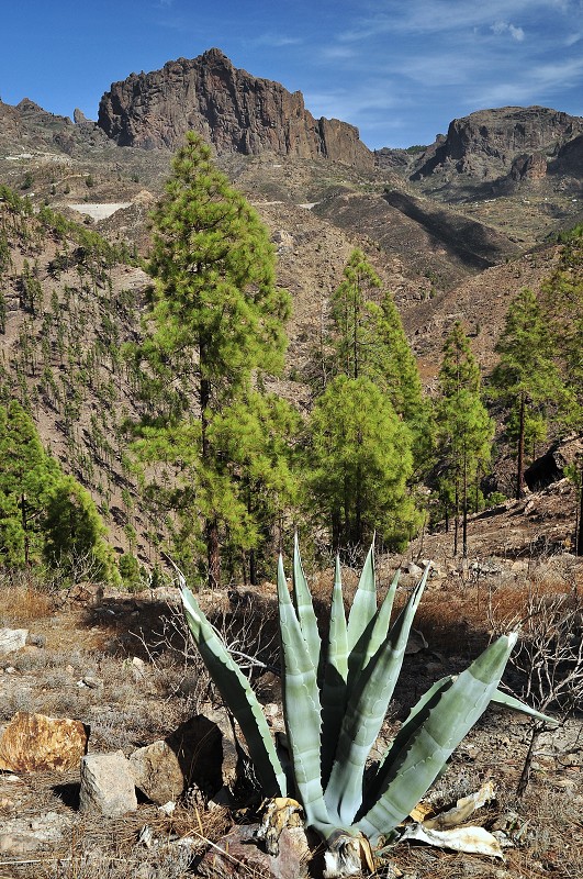 údolí Barranco Ayacata 