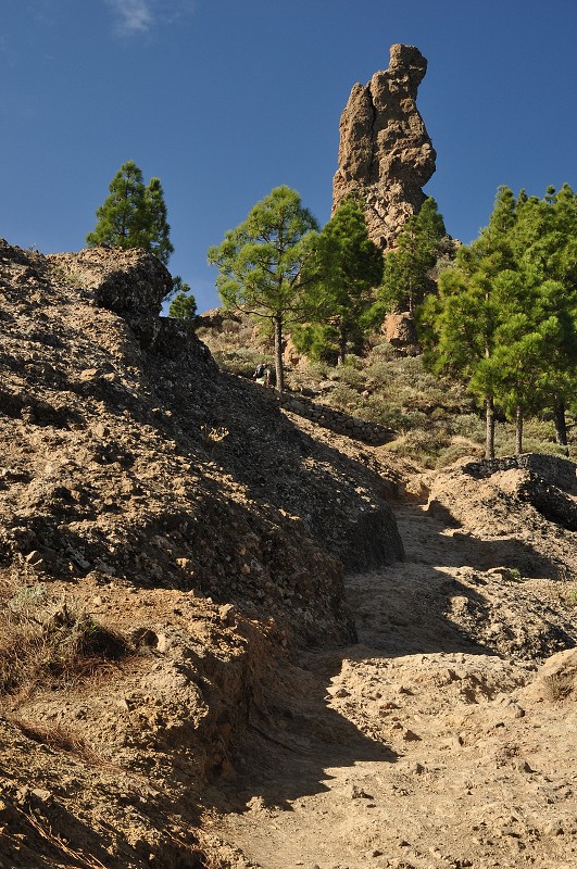skála Fraile /mnich/ u Roque Nublo 