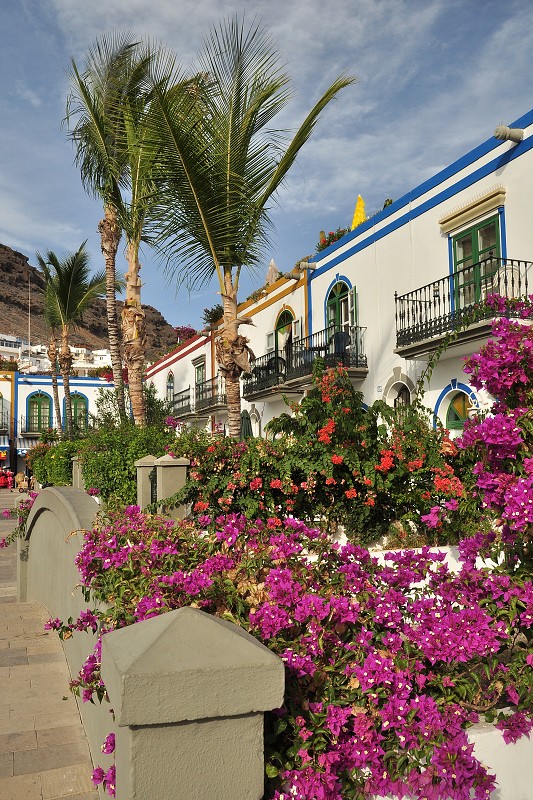 Puerto de Mogán 