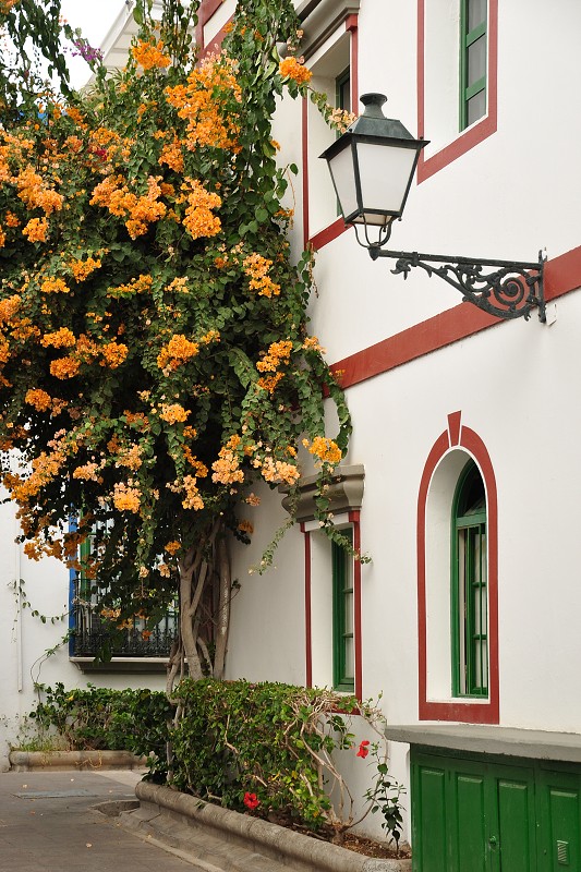 Puerto de Mogán 