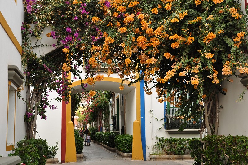 Puerto de Mogán 
