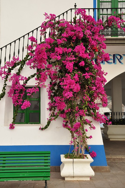 Puerto de Mogán 