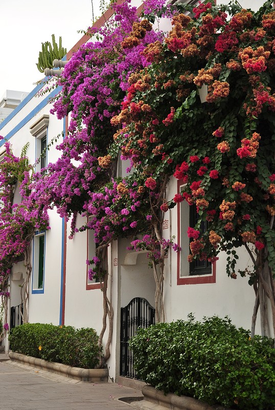 Puerto de Mogán 