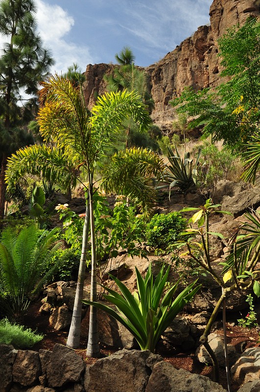Palmitos park 