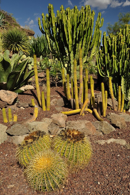 Palmitos park 