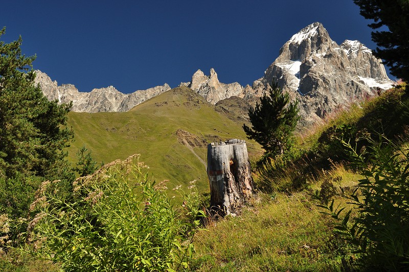 Kavkaz - Gruzie 2012 - pod horou Ušba/4700m/ 
