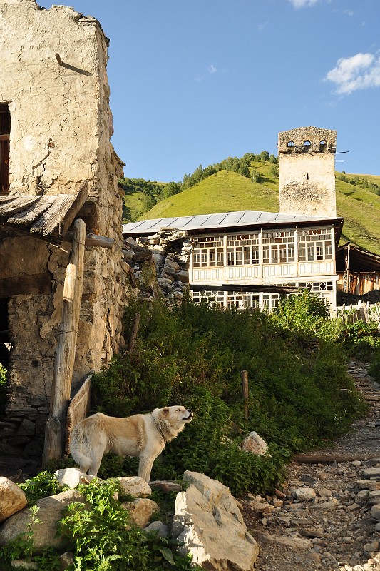 Kavkaz - Gruzie 2012 - Adiši / 2080 m 