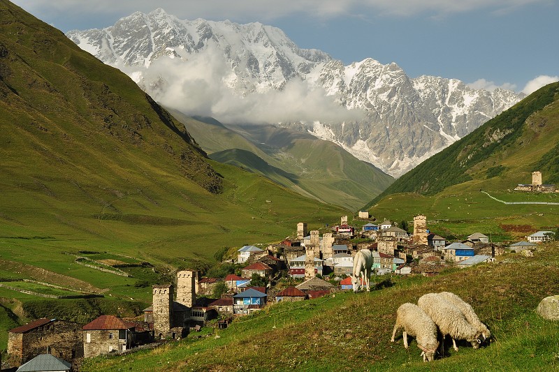 Kavkaz - Gruzie 2012 - Žibiani-Ušguli + masiv Šchara/5201 m 