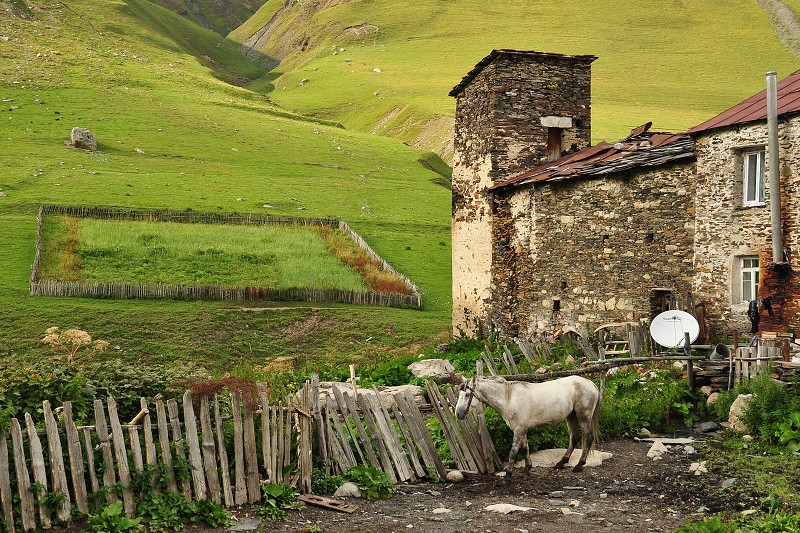 Kavkaz - Gruzie 2012 - Žibiani - Ušguli /2200m 