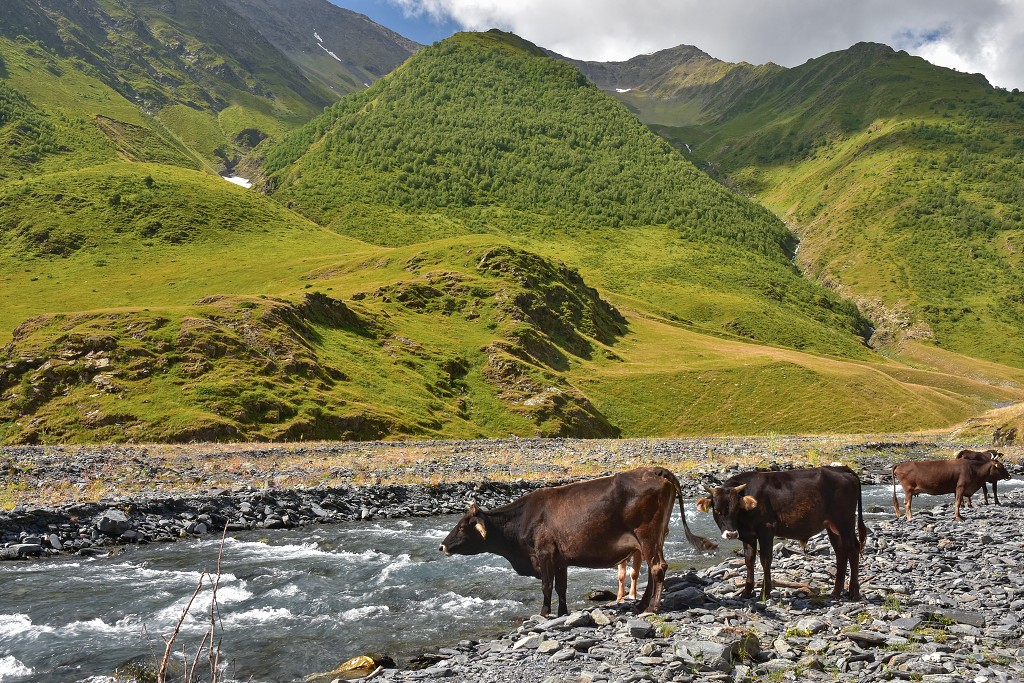 Gruzie - u Girevi, Tušetie 