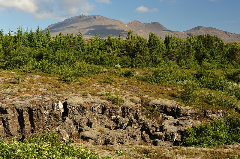 Island 2011 - Þingvellir 