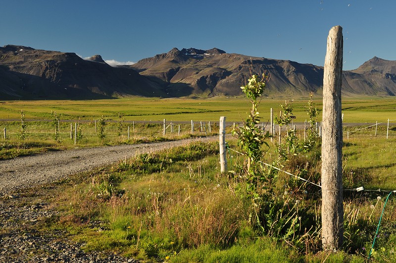 Island 2011 - poloostr. Snæfellsnes u Hoftúnu 