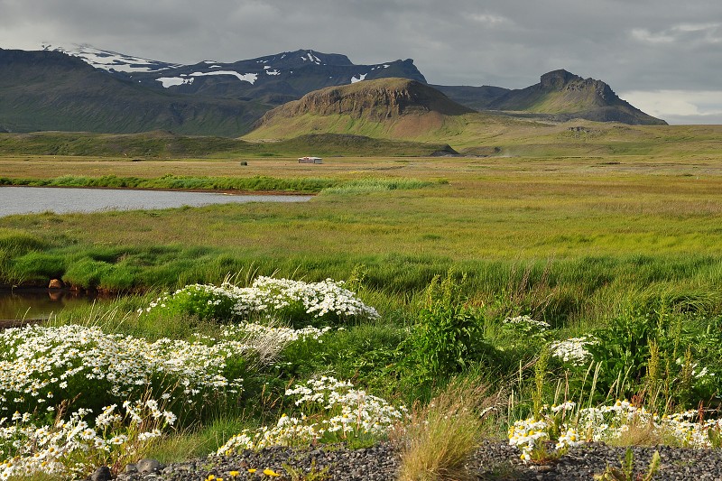 Island 2011 - poloostr. Snæfellsnes - u Rifu 