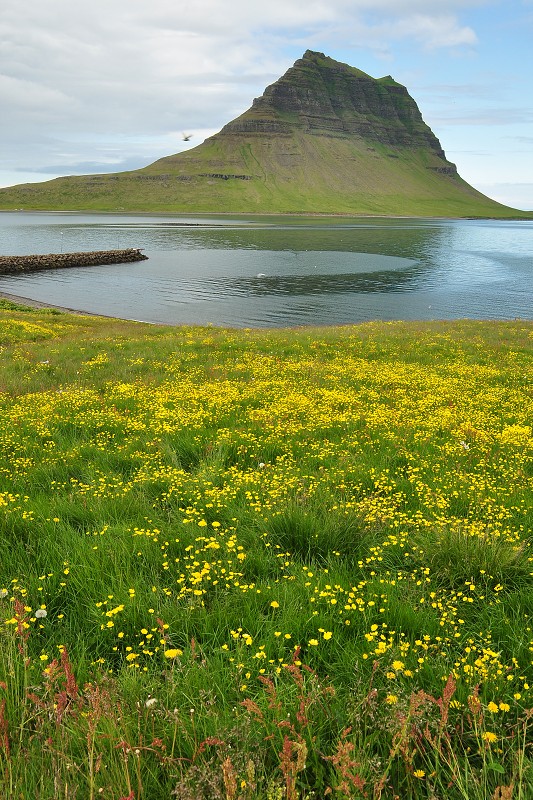 Island 2011 - Snæfellsnes, hora Kirkjufell u Grundarfjörður 