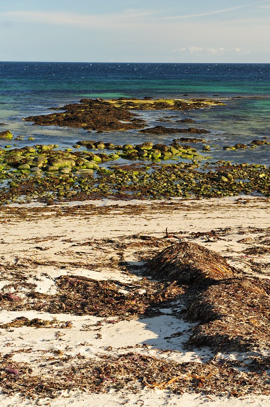Island 2011 - Západní fj., pláž Hvallátur 