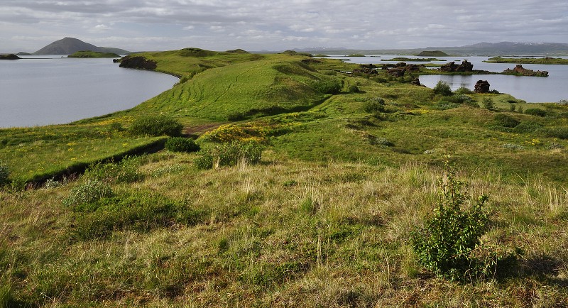 Island 2011 - klasary=lávové sloupy, Höfði, jezero Mývatn 
