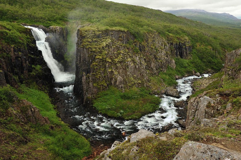 Island 2011 - vdp. Fardagafoss u Eggilsstaðiru 