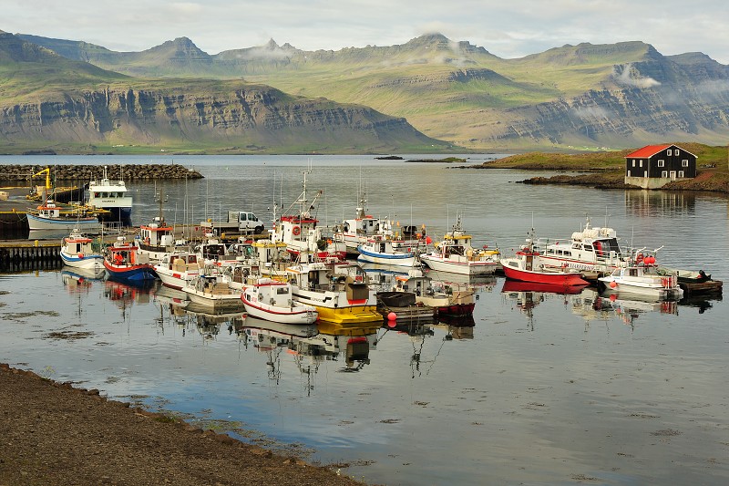 Island 2011 - Djúpivogur 