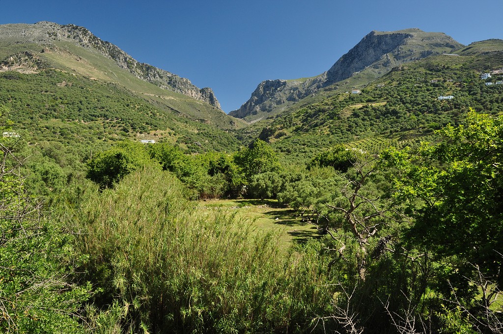 Kréta - kopce nad Plakiás 