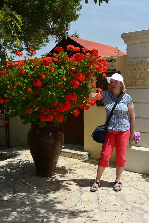 Kréta - v muškátech 