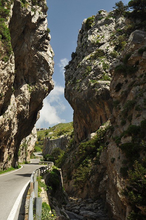 Kréta - soutěska Kotsifou, nad Plakiás 