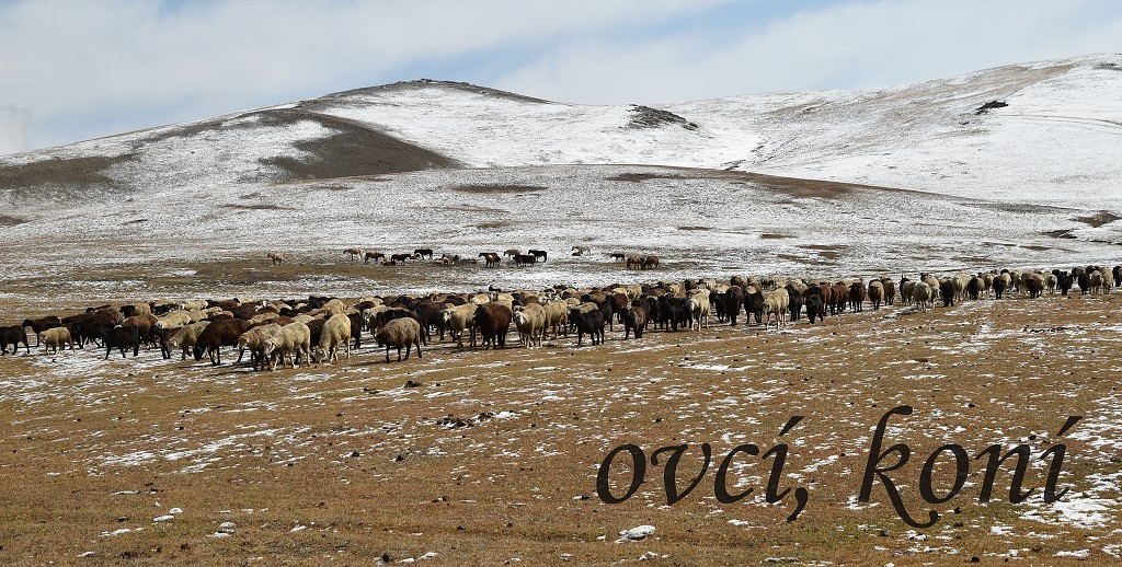 Kyrgyzstán -  od Jangi-Talap k jezeru Song-Köl 