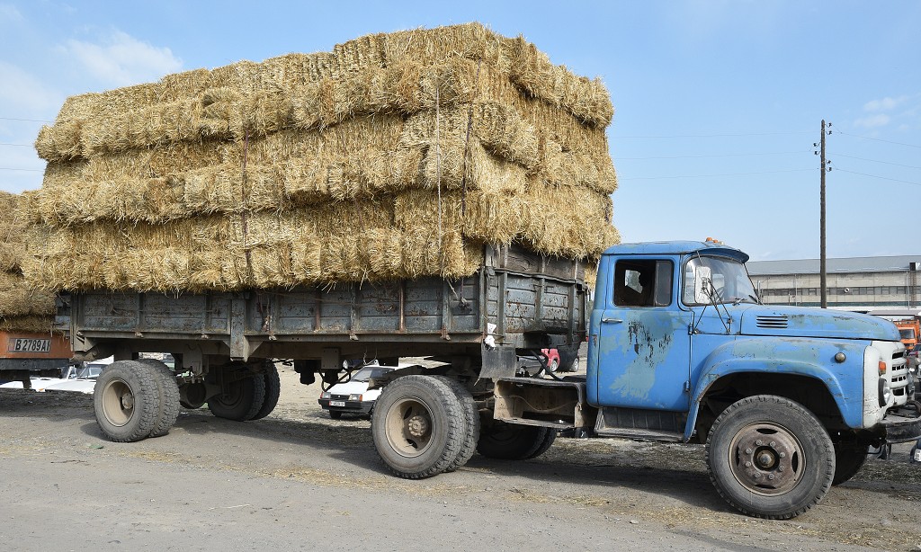 Kyrgyzstán - nedělní dobytčí trh, Karakol 